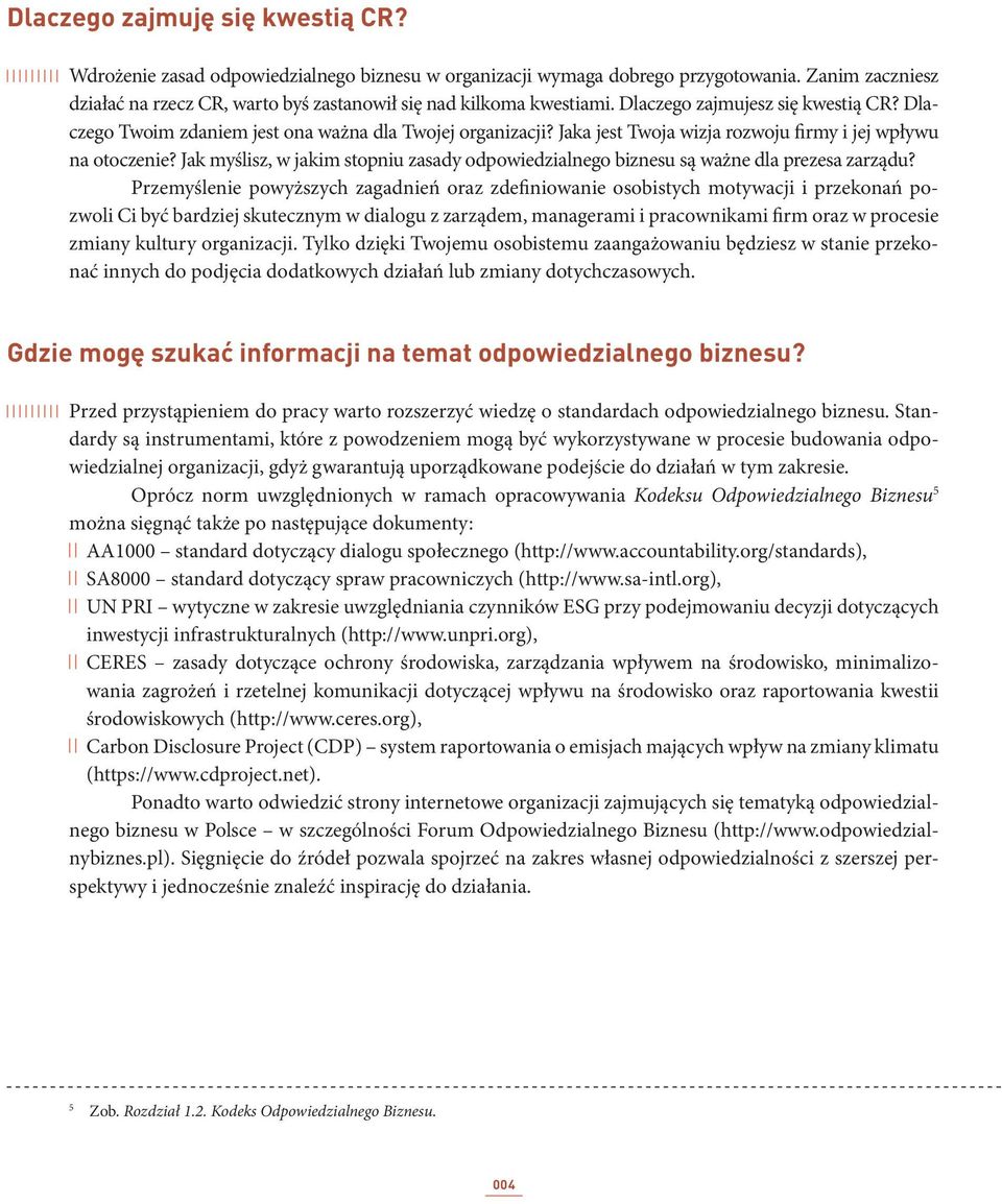 Jaka jest Twoja wizja rozwoju firmy i jej wpływu na otoczenie? Jak myślisz, w jakim stopniu zasady odpowiedzialnego biznesu są ważne dla prezesa zarządu?