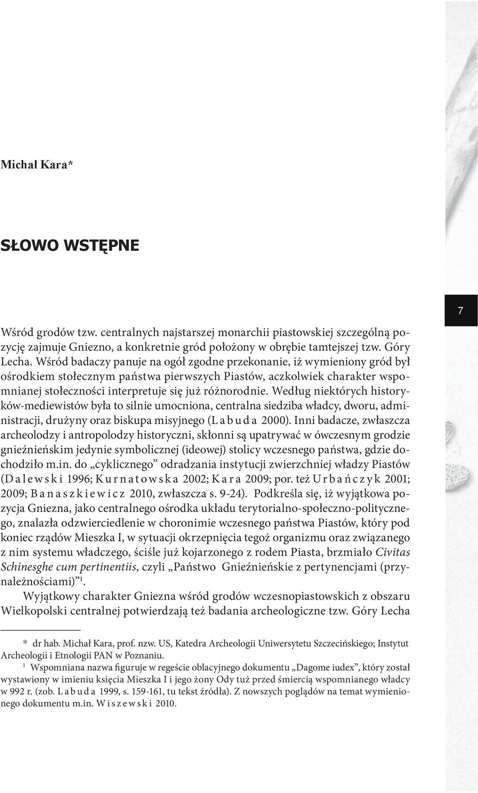 Według niektórych historyków-mediewistów była to silnie umocniona, centralna siedziba władcy, dworu, administracji, drużyny oraz biskupa misyjnego (Labuda 2000).