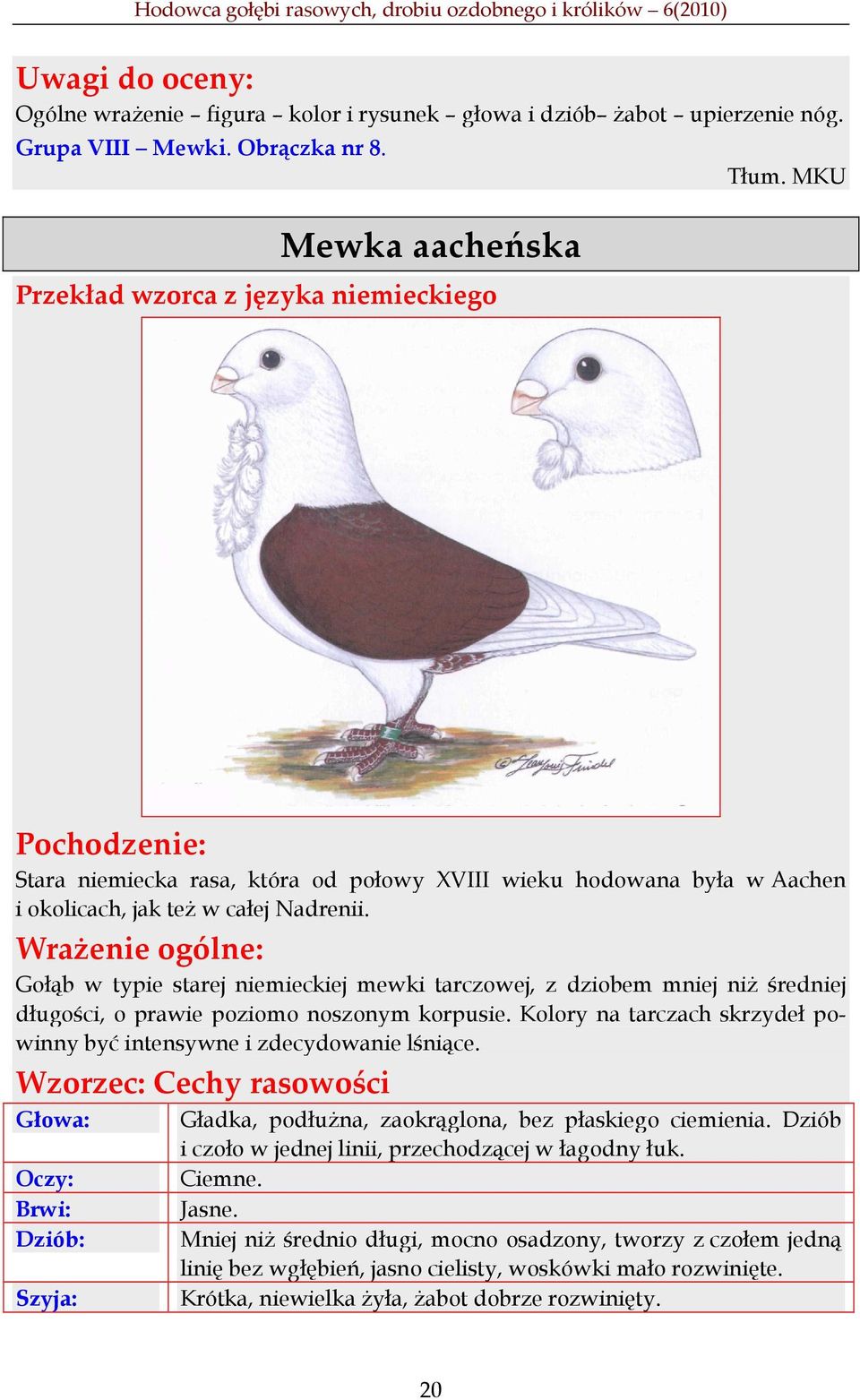 Wrażenie ogólne: Gołąb w typie starej niemieckiej mewki tarczowej, z dziobem mniej niŝ średniej długości, o prawie poziomo noszonym korpusie.