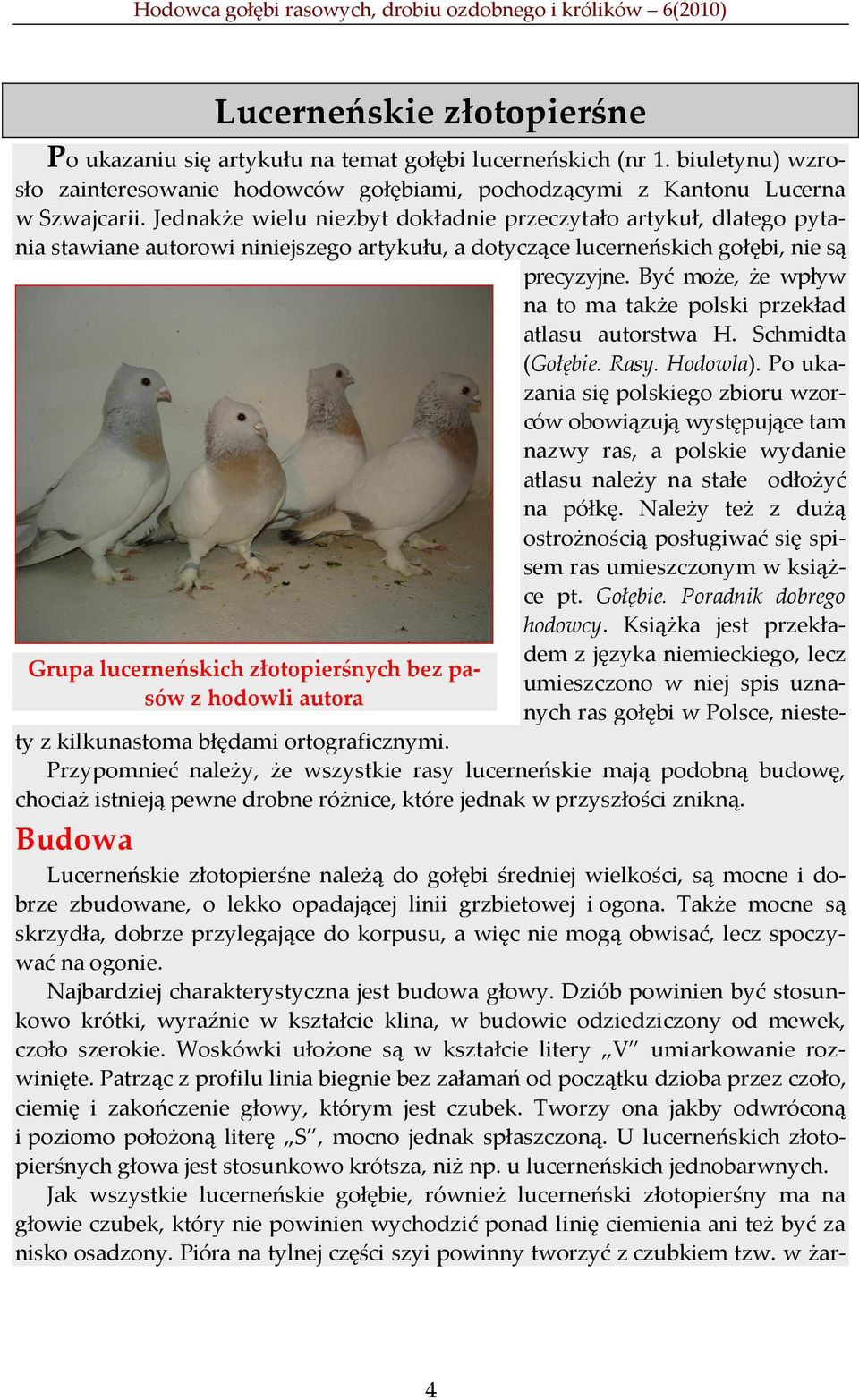 Jednakże wielu niezbyt dokładnie przeczytało artykuł, dlatego pytania stawiane autorowi niniejszego artykułu, a dotyczące lucerneńskich gołębi, nie są precyzyjne.