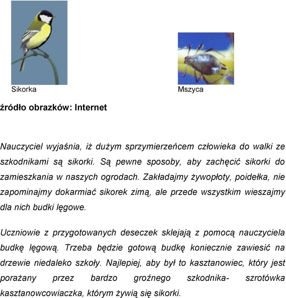 Zakładajmy żywopłoty, poidełka, nie zapominajmy dokarmiać sikorek zimą, ale przede wszystkim wieszajmy dla nich budki lęgowe.