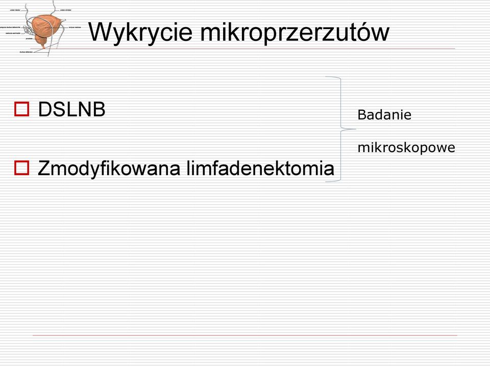 DSLNB Zmodyfikowana