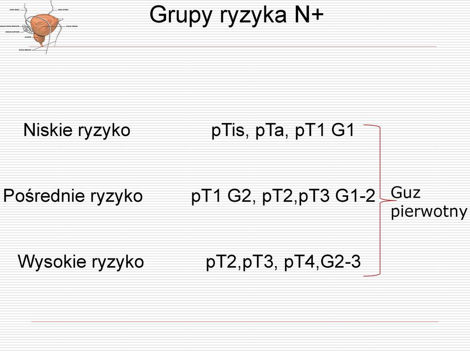 ryzyko pt1 G2, pt2,pt3 G1-2 Guz