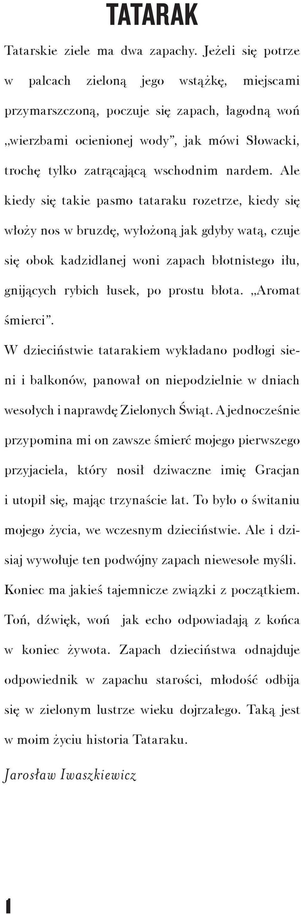 Ale kiedy się takie pasmo tataraku rozetrze, kiedy się włoży nos w bruzdę, wyłożoną jak gdyby watą, czuje się obok kadzidlanej woni zapach błotnistego iłu, gnijących rybich łusek, po prostu błota.