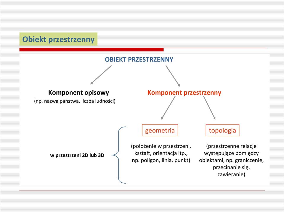 geometria (położenie w przestrzeni, kształt, orientacja itp., np.