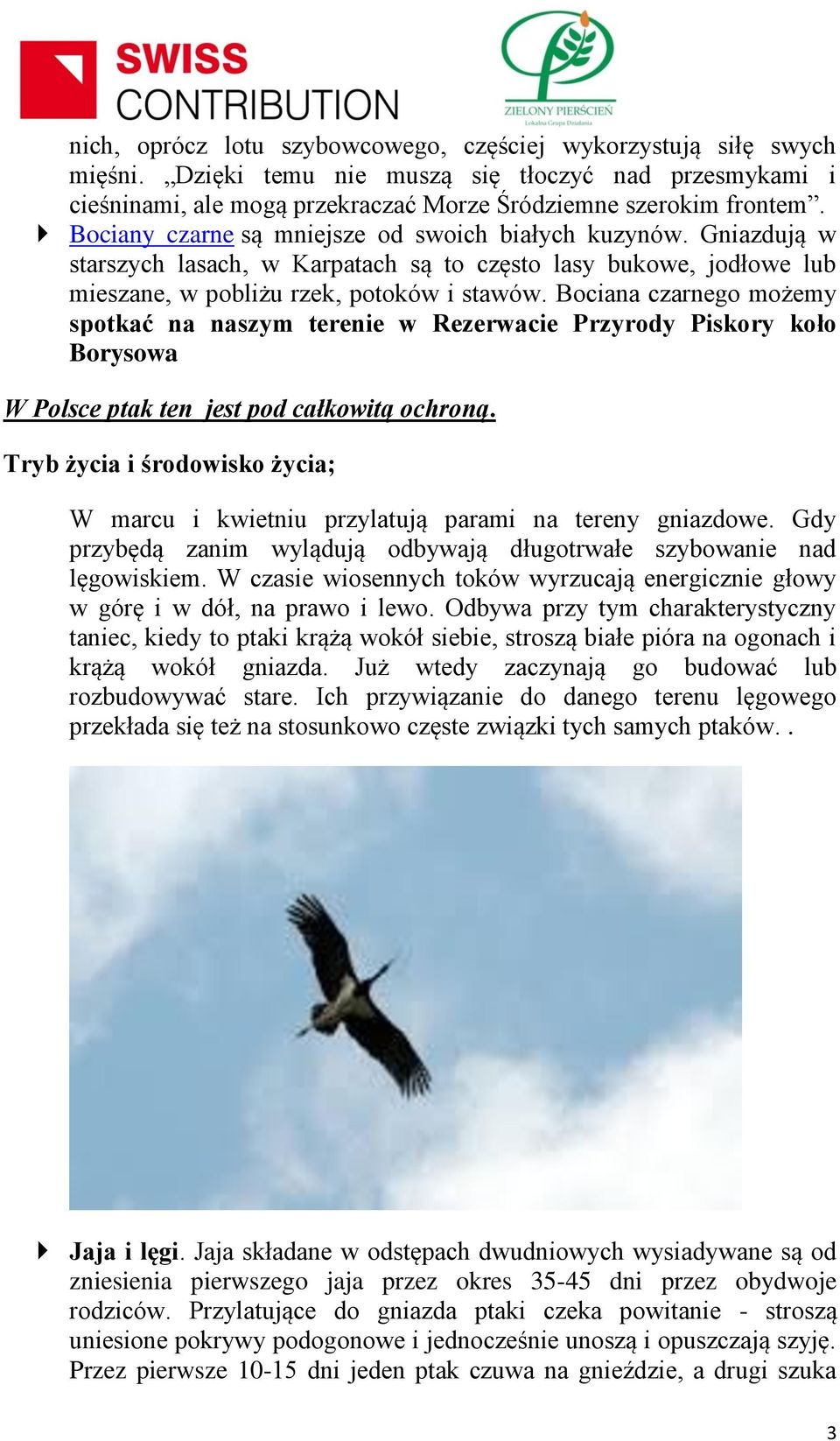 Bociana czarnego możemy spotkać na naszym terenie w Rezerwacie Przyrody Piskory koło Borysowa W Polsce ptak ten jest pod całkowitą ochroną.