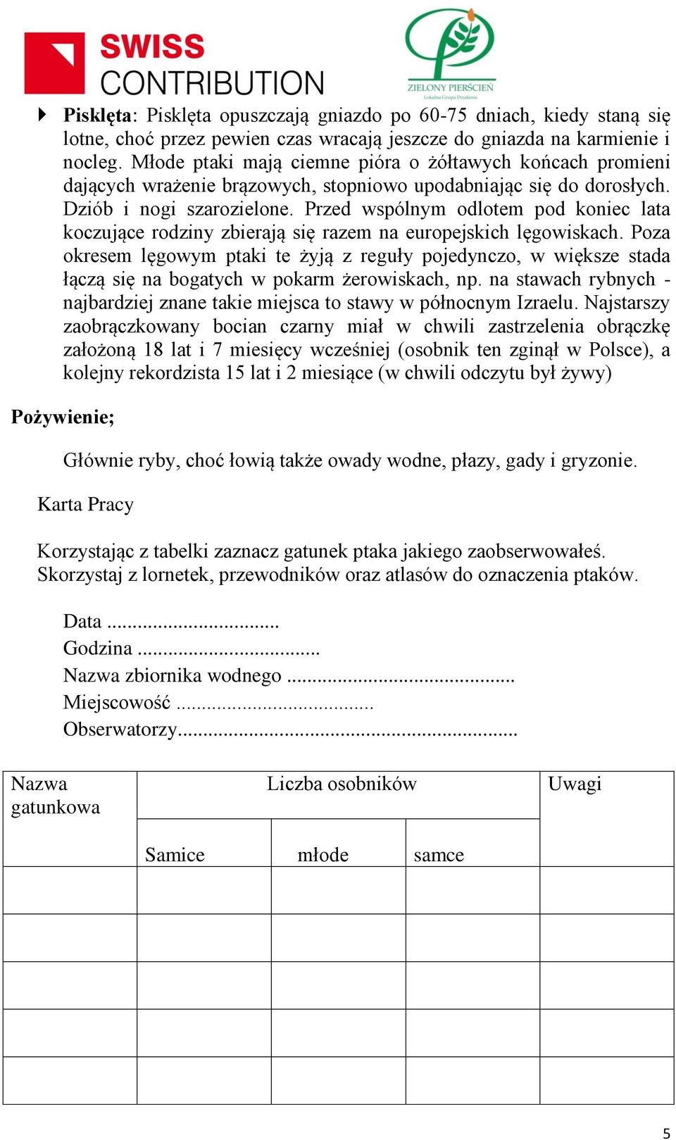 Przed wspólnym odlotem pod koniec lata koczujące rodziny zbierają się razem na europejskich lęgowiskach.
