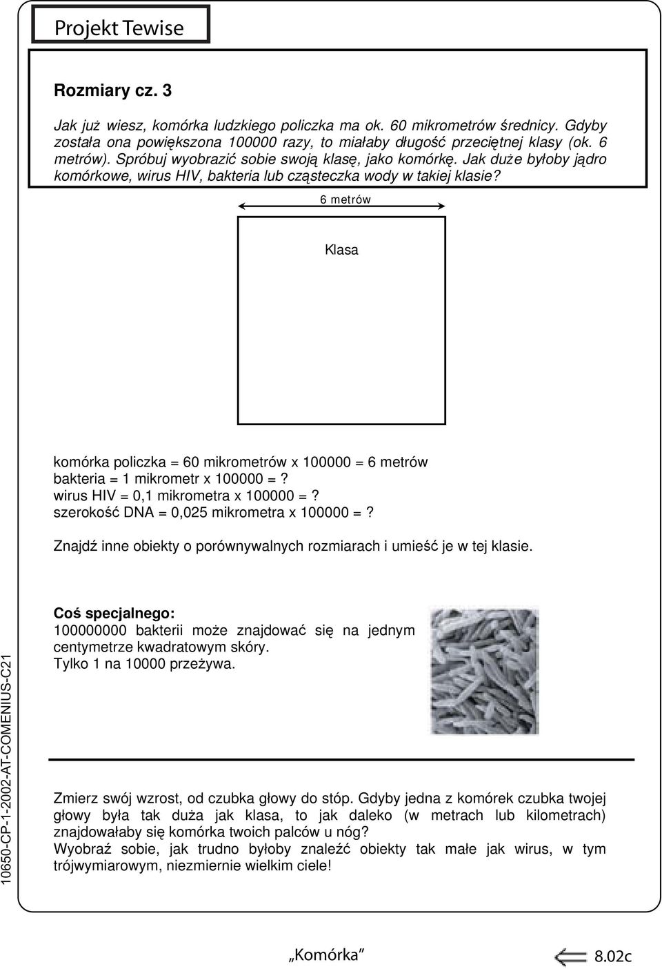 6 metrów Klasa komórka policzka = 60 mikrometrów x 100000 = 6 metrów bakteria = 1 mikrometr x 100000 =? wirus HIV = 0,1 mikrometra x 100000 =? szerokość DNA = 0,025 mikrometra x 100000 =?