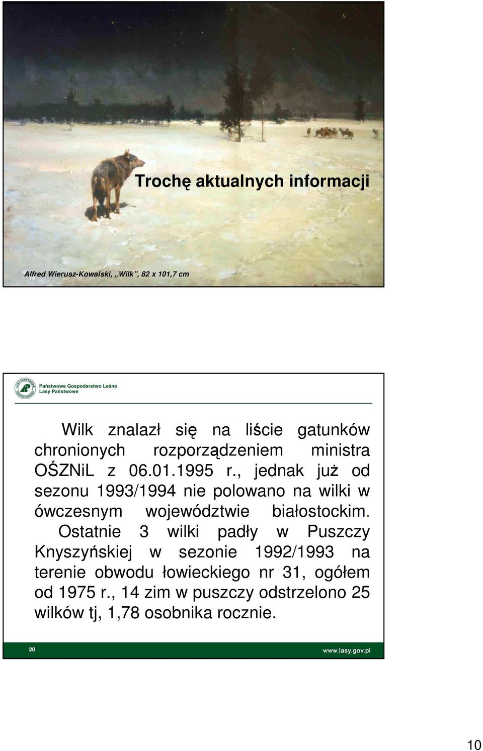 , jednak już od sezonu 1993/1994 nie polowano na wilki w ówczesnym województwie białostockim.