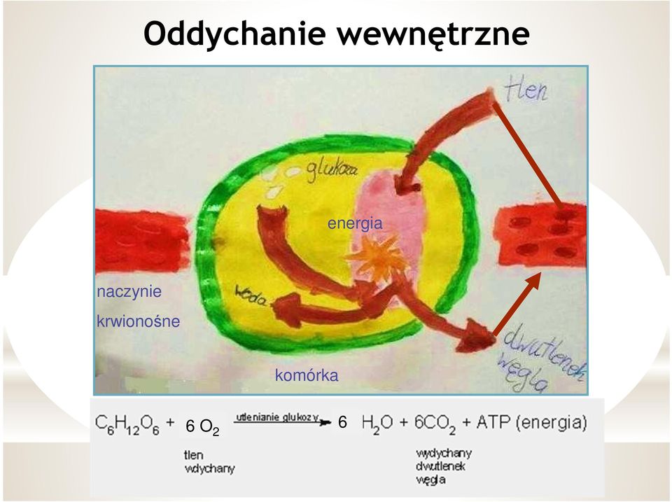 energia naczynie