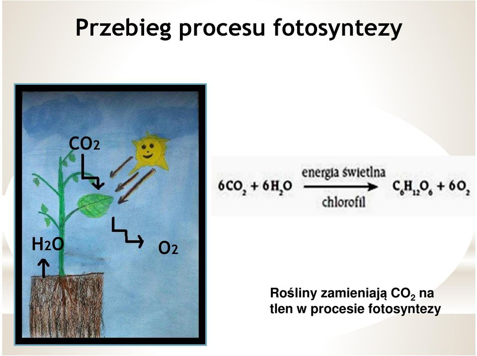 Rośliny zamieniają CO 2