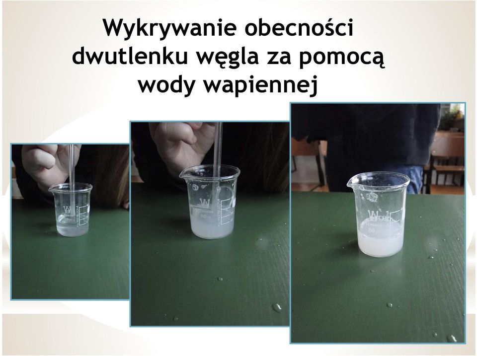 dwutlenku węgla