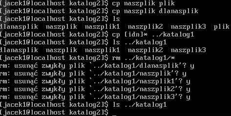 w pierwszym przypadku użyliśmy polecenia cp z jawnie wyspecyfikowanymi plikami. W pozostałych przypadkach posłużyliśmy się wzorcami.