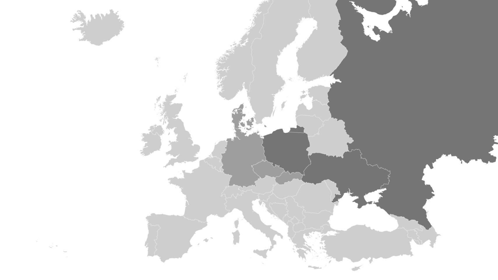 Lider sprzętu grzejnego Grupa Amica konsekwentnie buduje pozycję swoich marek w Europie stając się liderem w sprzęcie grzejnym na kluczowych rynkach.