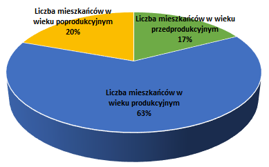 tej miejscowości i w związku z tym przyjęto, że dane charakteryzujące cały Walim odzwierciedlają również sytuację na obszarze rewitalizacji. 3.1.