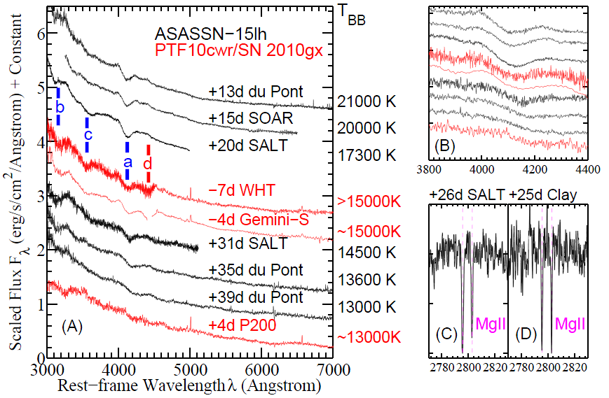 ASAS-SN: najważniejsze odkrycia. Najjaśniejsza z super-jasnych supernowych (SLSN): ASASSN 15lh.