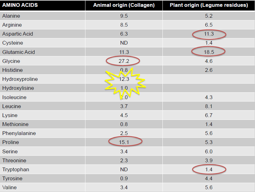 Aminokwasy pochodzenia zwierzęcego i roślinnego porównanie Giuseppe Colla - Characterization