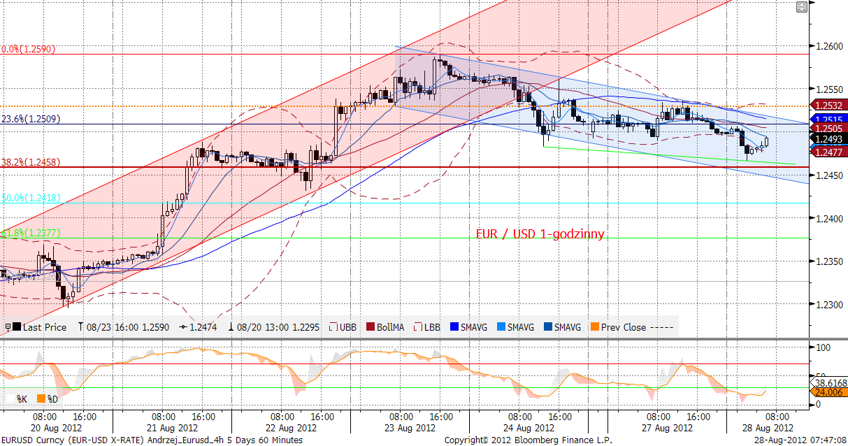 EURUSD fundamentalnie Spodziewana przez nas konsolidacja na EURUSD zamieniła się w niewielkie spadki a dziś po otwarciu kurs wyznaczył nowe minima lokalne na poziomie 1,2464, jednak rano powrócił w