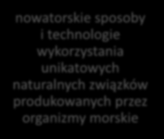 Inteligentne Specjalizacje Pomorza ISP1 uniwersalne konstrukcje i technologie do eksploatacji zasobów morza pojazdy i jednostki pływające wykorzystywane w środowisku morskim i przybrzeżnym