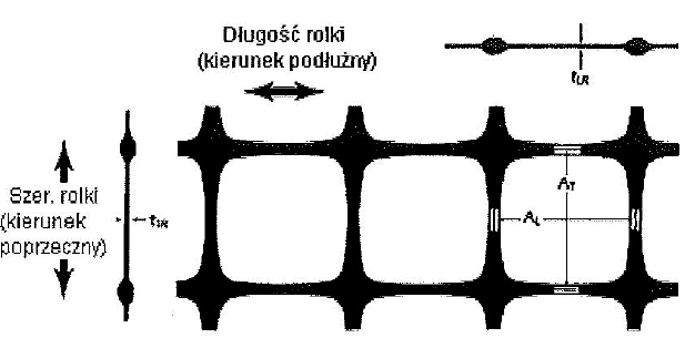 Rys. 1. Struktura geosiatki Tablica 1.