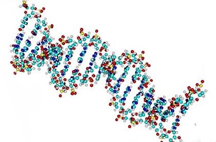 Odkrycie DNA James Watson i Francis Crick w 1953 roku dokonali przełomowego dla medycyny odkrycia budowy cząsteczki DNA.