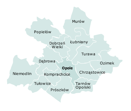 Opole otoczone jest przez gminę miejsko - wiejską: Niemodlin, Ozimek, Prószków oraz gminę wiejską: Chrząstowice, Dąbrowa, Dobrzeń Wielki, Komprachcice, Łubniany, Murów, Popielów, Tarnów Opolskie,
