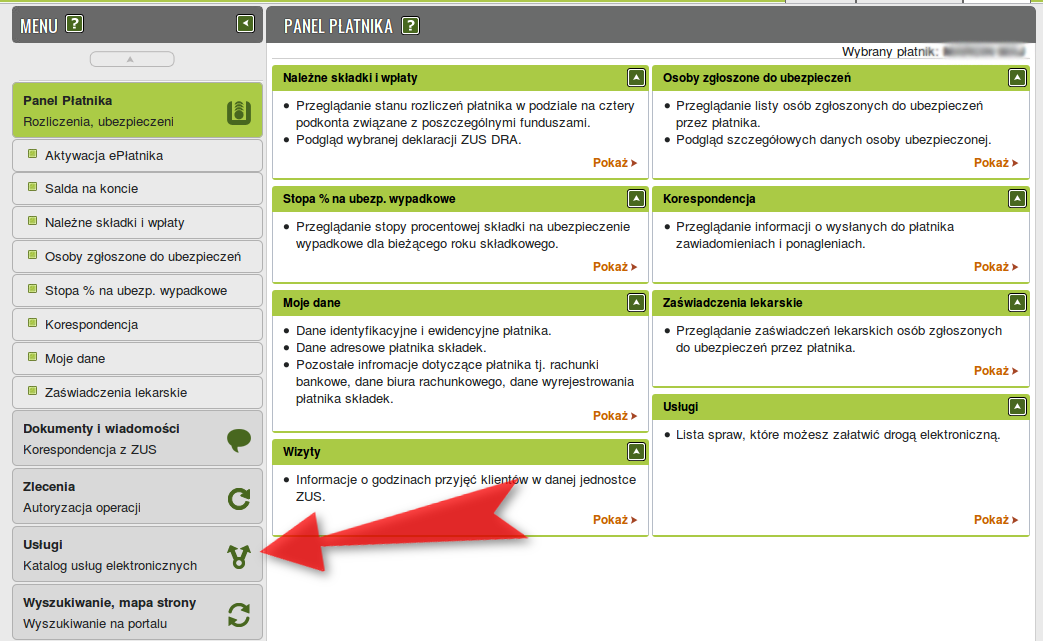 Krok 6: W zakładce Płatnik po lewej stronie znajdziemy sekcję Usługi, gdzie znajduje się katalog usług