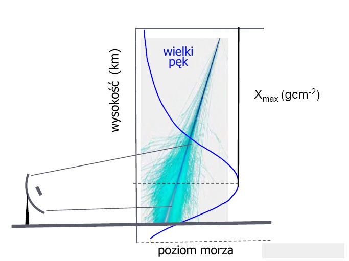 Identyfikacja PK: Xmax profil podłużny rozwoju pęku Xmax: atmosferyczna głębokość maksimum rozwoju pęku
