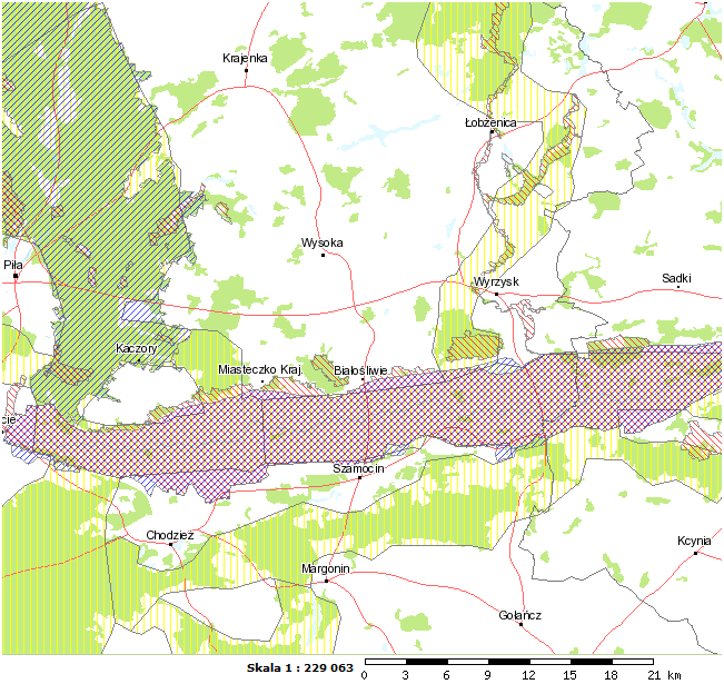 Ryc. 30. Lokalizacja terenu przedsięwzięcia (czerwony wielobok) względem obszarów Natura 2000 (czerwona i niebieska szrafura) oraz korytarzy ekologicznych (żółta szrafura).