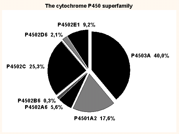 GENETYCZNIE UWARUNKOWANE ZABURZENIA METABOLIZMU LEKÓW Polimorfizm utleniania (cytochromu P-450) Polimorfizm acetylacji Genotyp utleniania Cytochrom P-450 (CYP-450) Jest hemoproteiną obecną w