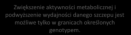 Drobnoustroje pozyskane ze środowiska naturalnego prowadzą procesy biosyntezy lub biotransformacji z wydajnością nie wystarczającą zazwyczaj do opracowania ekonomicznego procesu technologicznego