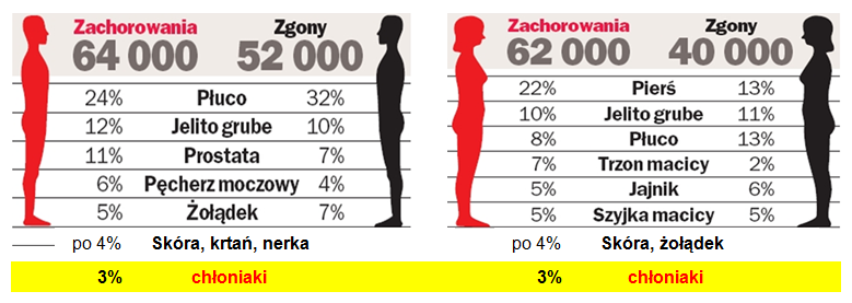 Zachorowania na chłoniaki w Polsce 5-6% chłoniaki 5-6% chłoniaki