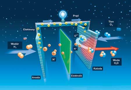 Budowa ogniwa paliwowego Dwie elektrody:
