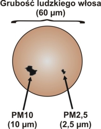 Pył zawieszony PM10 Wyniki badan stężenia średniorocznego pyłu zawieszonego PM10 w powietrzu, wykonanych na
