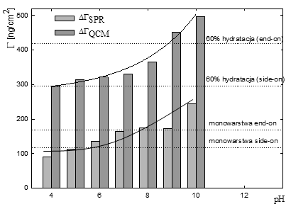 Adsorpcja lizozymu... dzy wartościami nadwyżek powierzchniowych otrzymanych dla danych wartości ph metodami QCM-D i SPR potwierdza 60% hydratację warstw QCM-D.