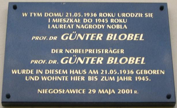 Wójt Gminy Niegosławice wystosował list gratulacyjny dla Guntera Blobela z gratulacjami za wybitne osiągnięcia naukowe wraz z zaproszeniem do odwiedzenia rodzinnej wsi.