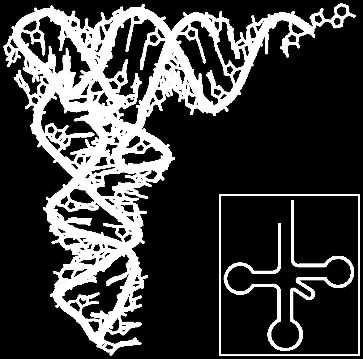 Rozdział 2. Podstawowe zagadnienia biologii molekularnej 9 Rysunek 2.