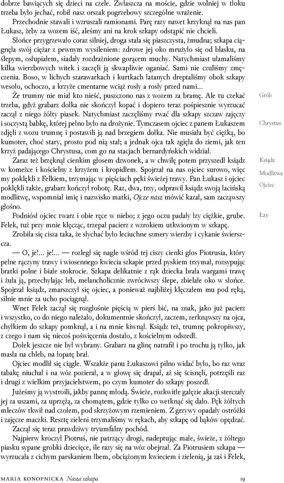 Słońce przygrzewało coraz silniej, droga stała się piaszczysta, żmudna; szkapa ciągnęła swój ciężar z pewnym wysileniem: zdrowe jej oko mrużyło się od blasku, na ślepym, osłupiałem, siadały