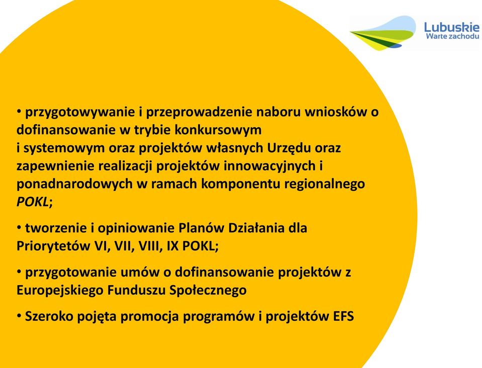 komponentu regionalnego POKL; tworzenie i opiniowanie Planów Działania dla Priorytetów VI, VII, VIII, IX POKL;