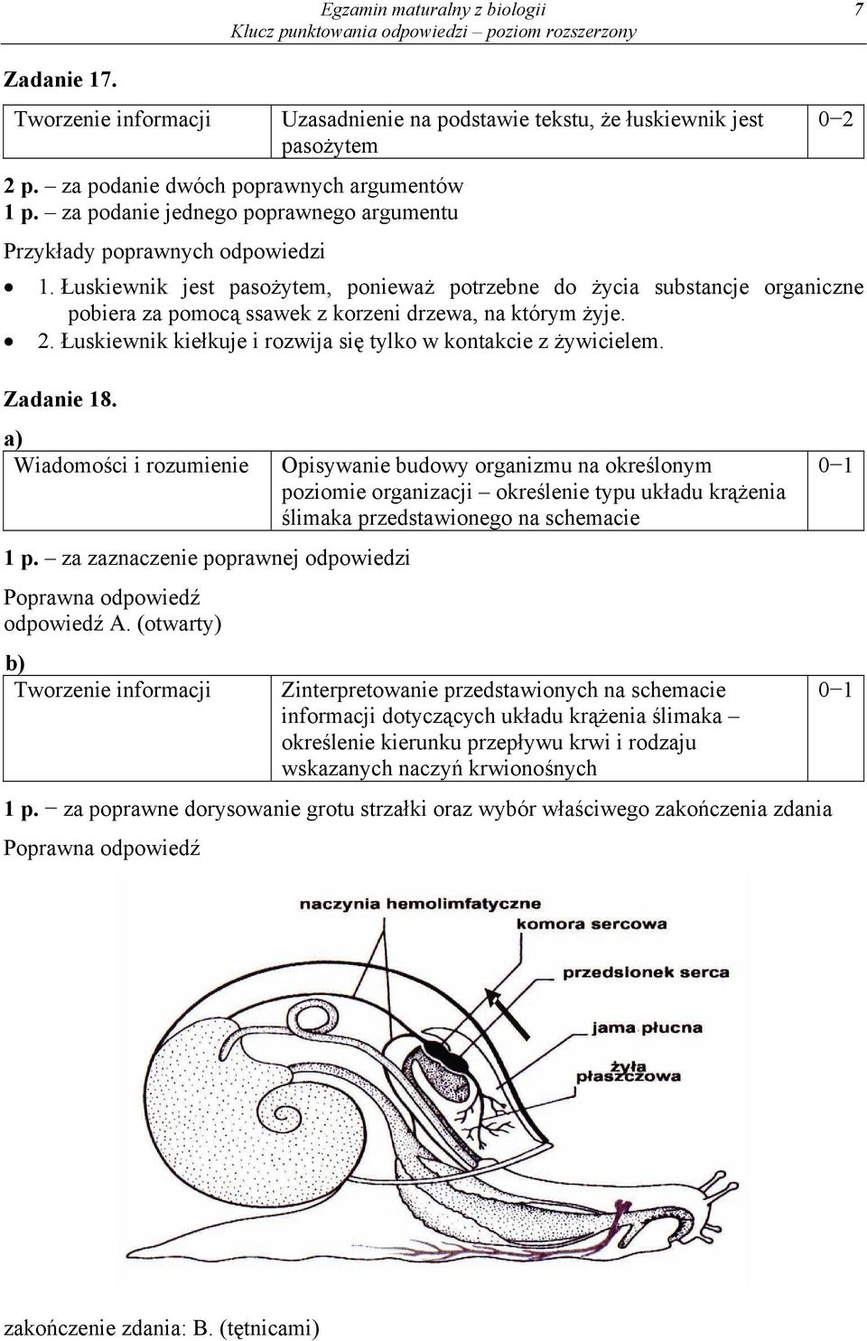 Łuskiewnik kiełkuje i rozwija się tylko w kontakcie z żywicielem. Zadanie 18. 1 p. za zaznaczenie poprawnej odpowiedzi odpowiedź A.