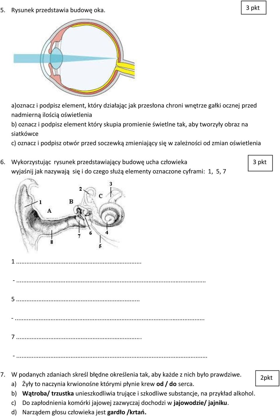 obraz na siatkówce c) oznacz i podpisz otwór przed soczewką zmieniający się w zależności od zmian oświetlenia 6.