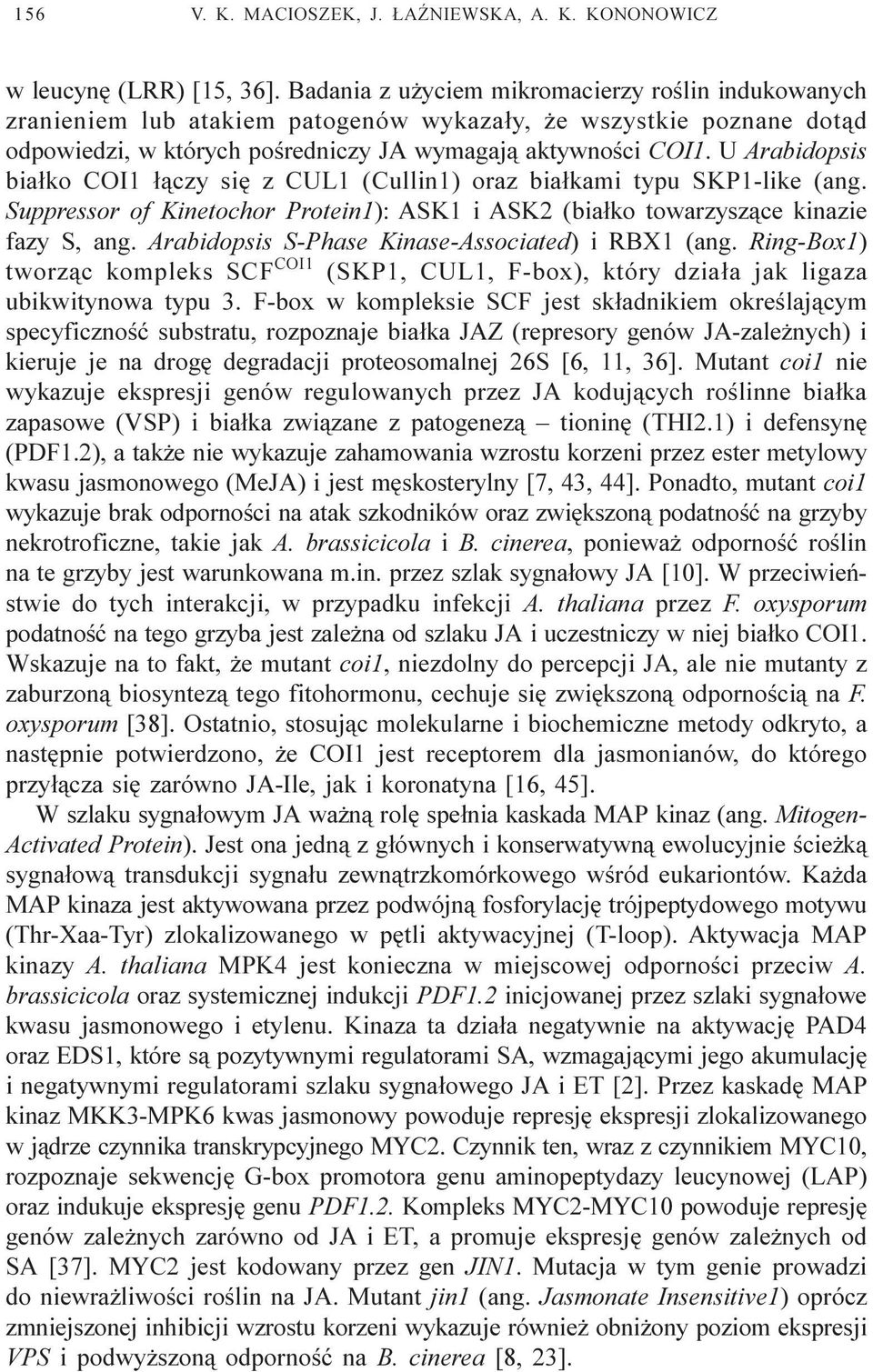 U Arabidopsis bia³ko COI1 ³¹czy siê z CUL1 (Cullin1) oraz bia³kami typu SKP1-like (ang. Suppressor of Kinetochor Protein1): ASK1 i ASK2 (bia³ko towarzysz¹ce kinazie fazy S, ang.