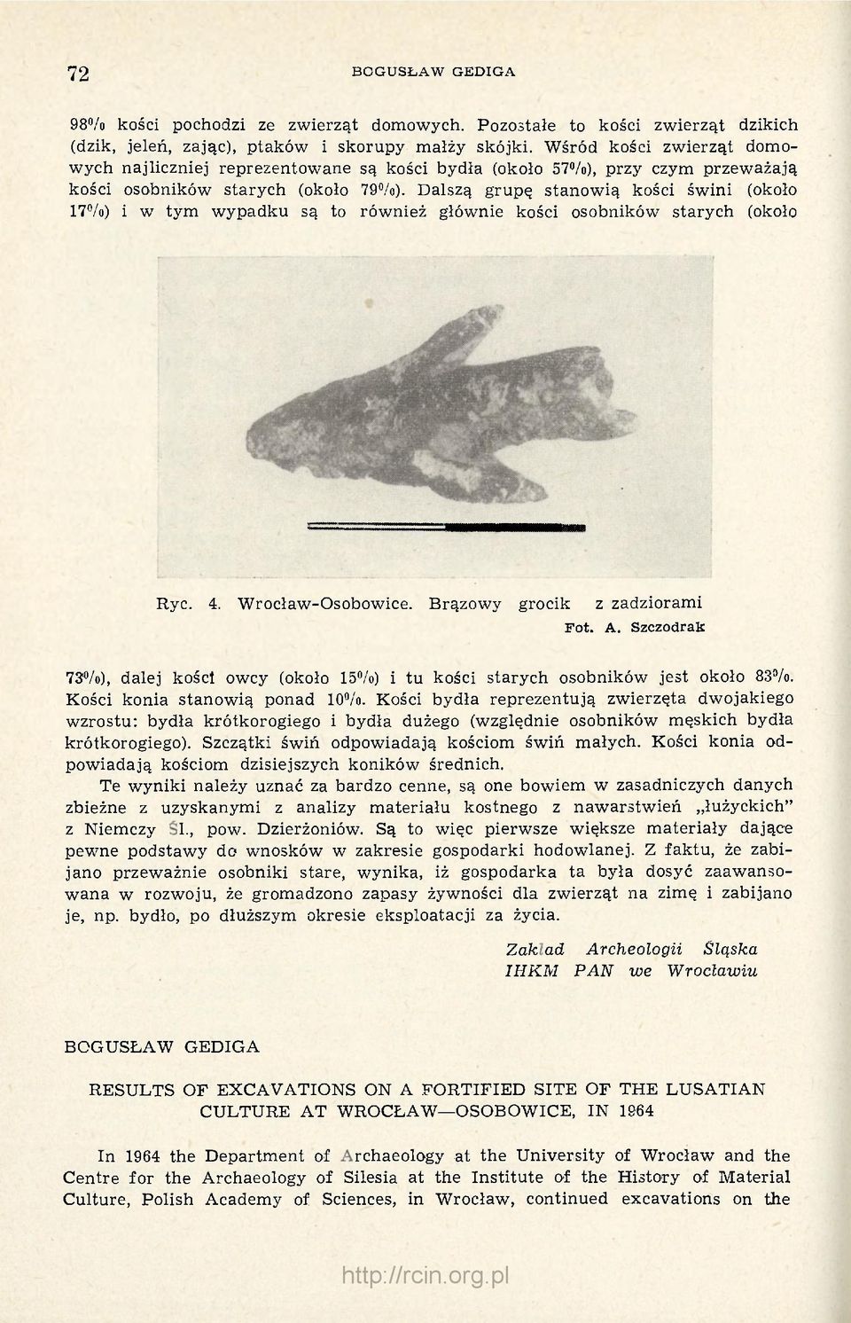 Dalszą grupę stanowią kości świni (około 17%) i w tym wypadku są to również głównie kości osobników starych (około Ryc. 4. Wrocław-Osobowice. Brązowy grocik z zadziorami Fot. A.