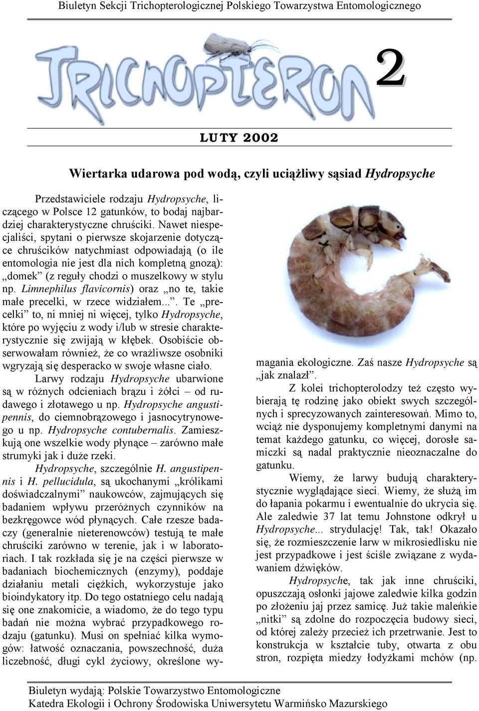 Nawet niespecjaliści, spytani o pierwsze skojarzenie dotyczące chruścików natychmiast odpowiadają (o ile entomologia nie jest dla nich kompletną gnozą): domek (z reguły chodzi o muszelkowy w stylu np.