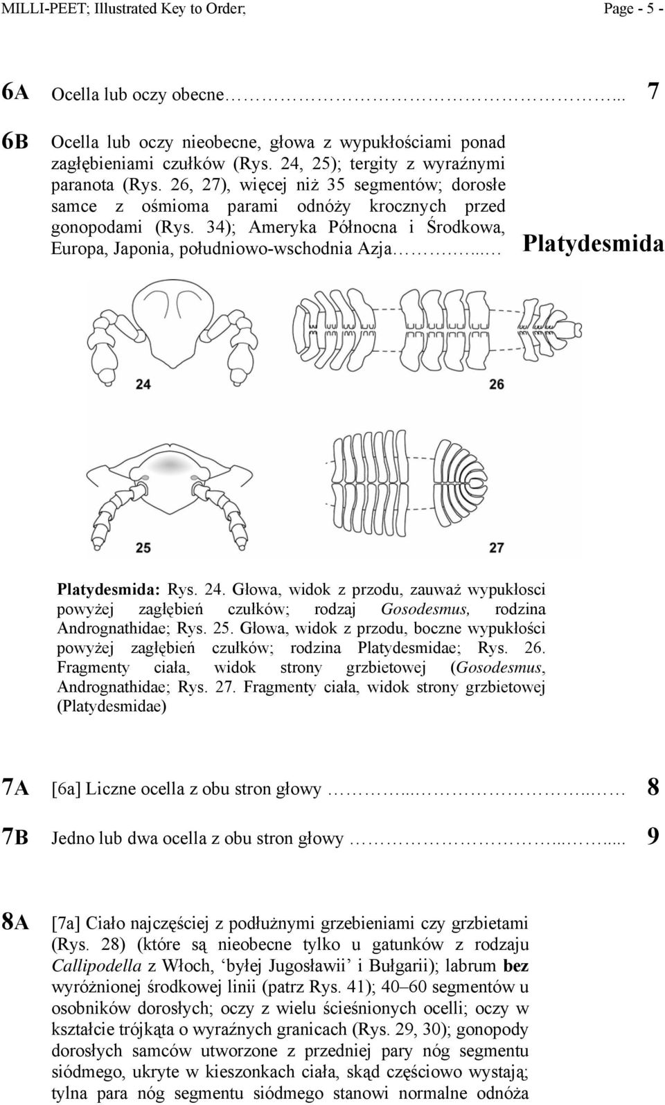 34); Ameryka Północna i Środkowa, Europa, Japonia, południowo-wschodnia Azja.... Platydesmida Platydesmida: Rys. 24.