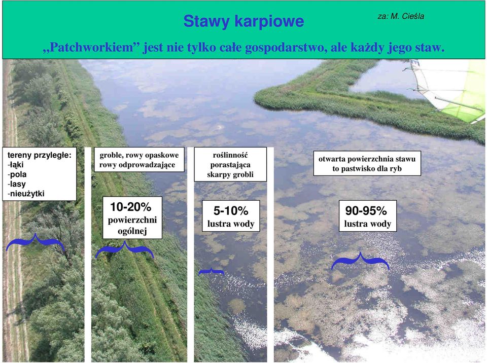 tereny przyległe: -łąki -pola -lasy -nieuŝytki groble, rowy opaskowe rowy