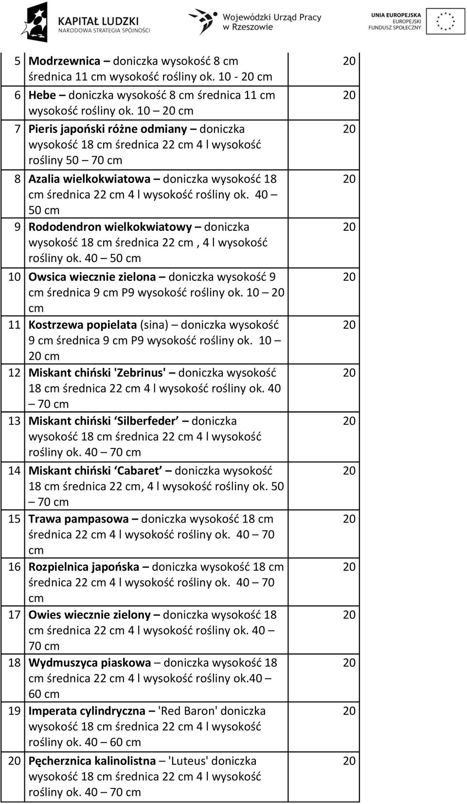 40 50 9 Rododendron wielkokwiatowy doniczka wysokość 18 średnica 22, 4 l wysokość rośliny ok. 40 50 Owsica wiecznie zielona doniczka wysokość 9 średnica 9 P9 wysokość rośliny ok.