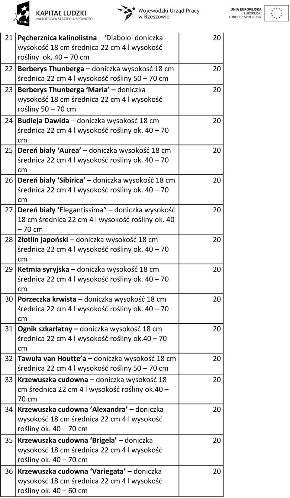 doniczka wysokość 18 średnica 22 4 l wysokość rośliny ok. 40 70 25 Dereń biały Aurea doniczka wysokość 18 średnica 22 4 l wysokość rośliny ok.