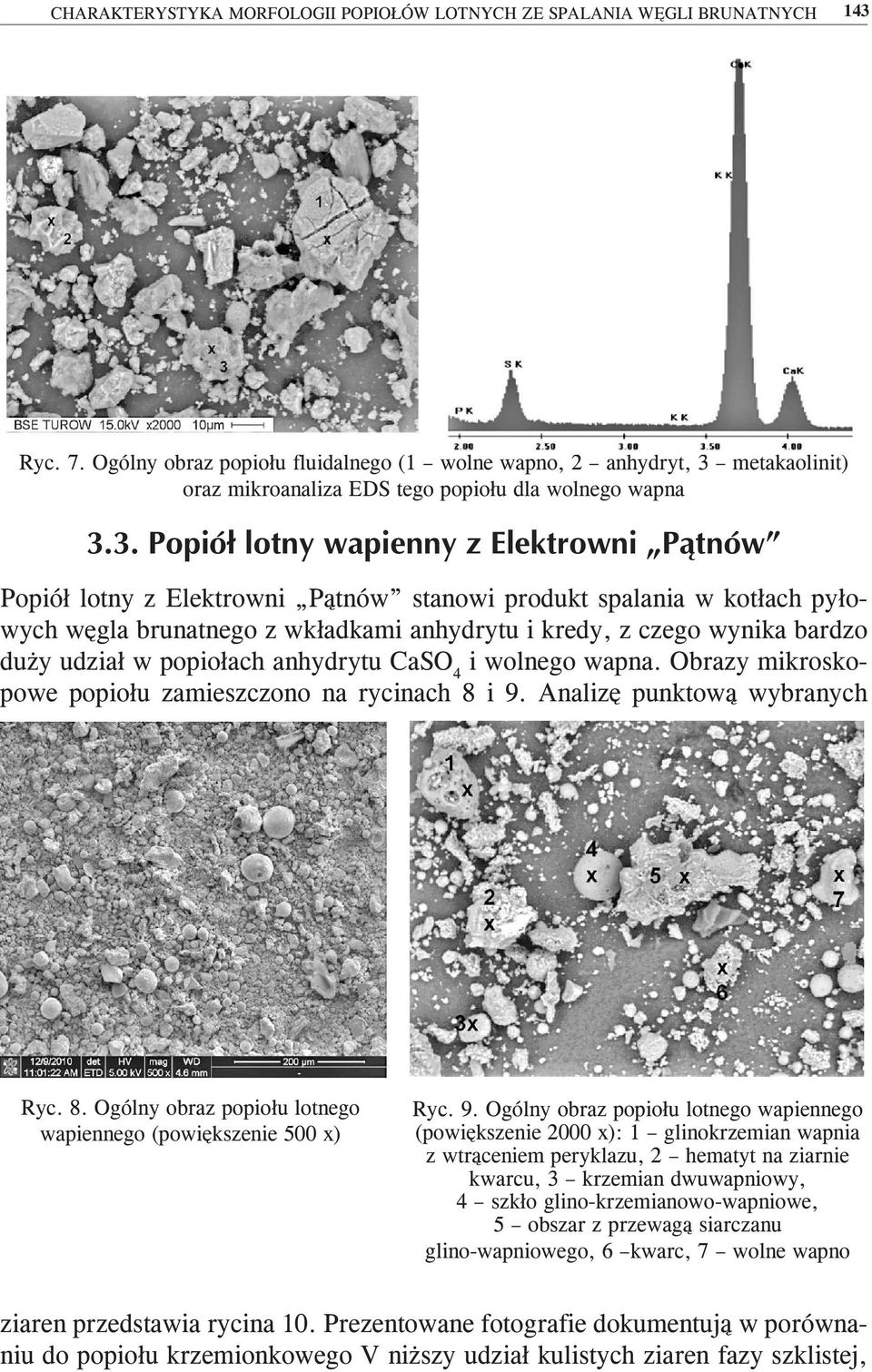 pyłowych węgla brunatnego z wkładkami anhydrytu i kredy, z czego wynika bardzo duży udział w popiołach anhydrytu CaSO 4 i wolnego wapna. Obrazy mikroskopowe popiołu zamieszczono na rycinach 8 i 9.