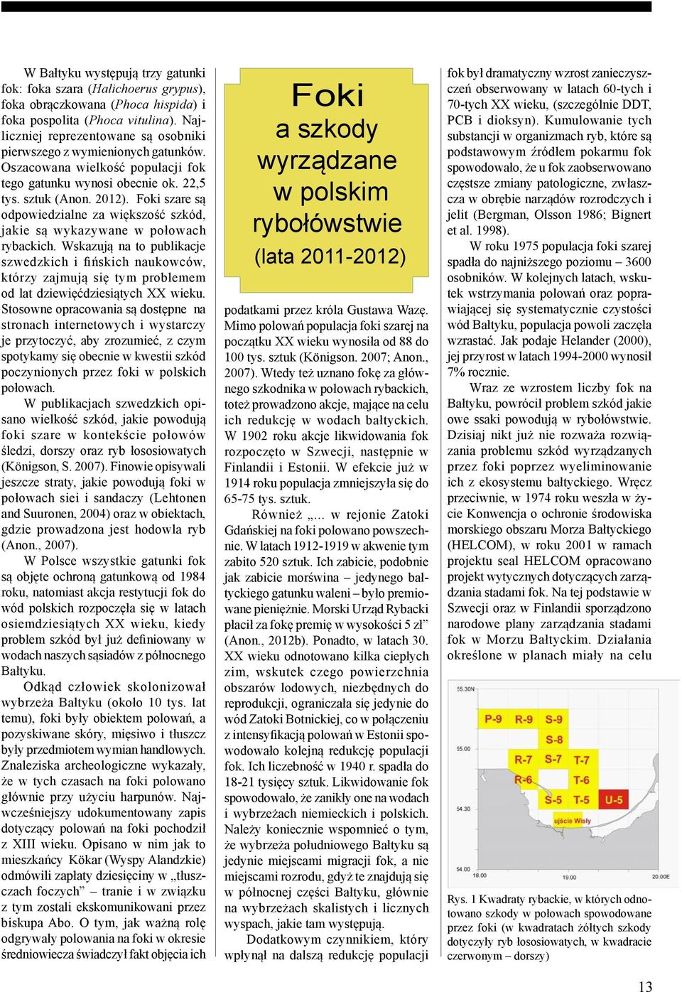 Foki szare są odpowiedzialne za większość szkód, jakie są wykazywane w połowach rybackich.